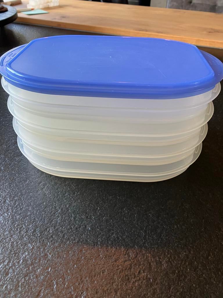 Tupperware vleeswaren doos met 4 bakken, Huis en Inrichting, Keuken | Tupperware, Ophalen of Verzenden, Gebruikt, Blauw, Schaal