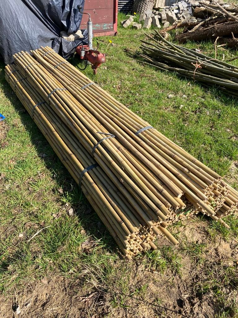Bamboe stokken, tonkinstokken, moestuin, planten stokken, Ophalen, Nieuw, 180 tot 250 cm, Palen