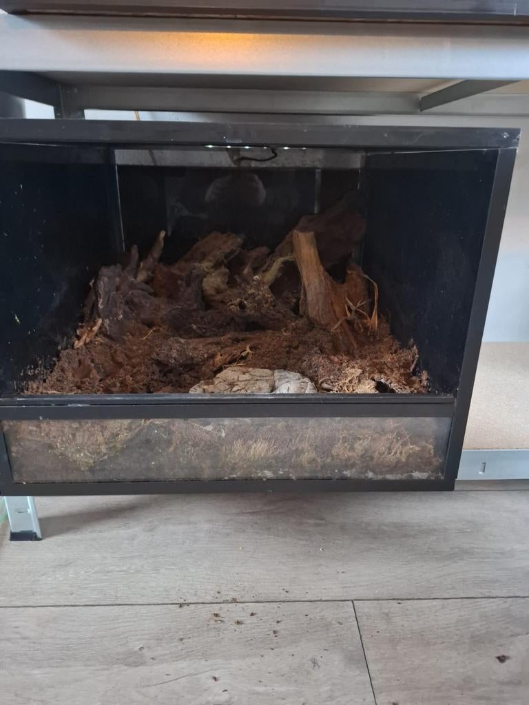 Paludarium terrarium 50x55x36, Ophalen of Verzenden, Zo goed als nieuw