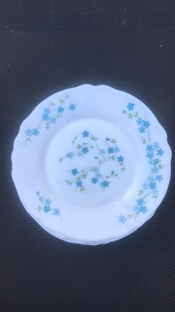 6 Arcopal Veronica/Myosotis borden, set, Huis en Inrichting, Ophalen of Verzenden, Bord(en), Overige stijlen, Glas