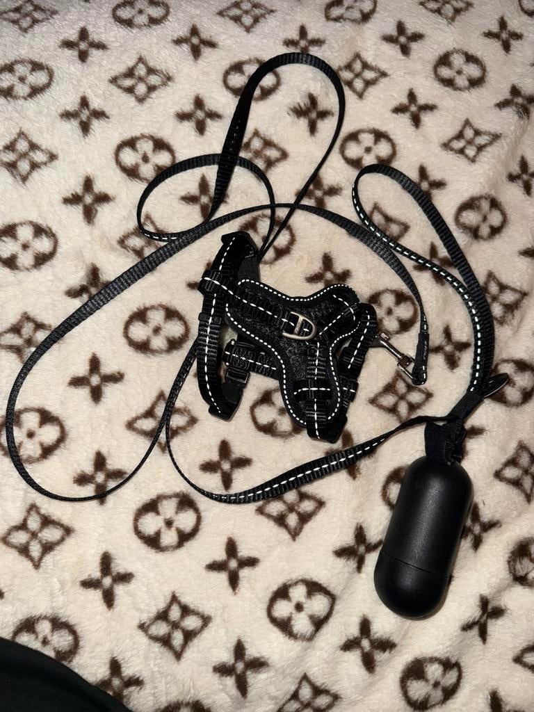 Rogz Utility Control Tuig Zwart maat S met bijpassende riem, Dieren en Toebehoren, Ophalen of Verzenden, Nieuw, Hondenriem