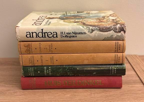 HJ van Nijnatten - Doffegnies - 5 romans, Boeken, Ophalen of Verzenden, Gelezen