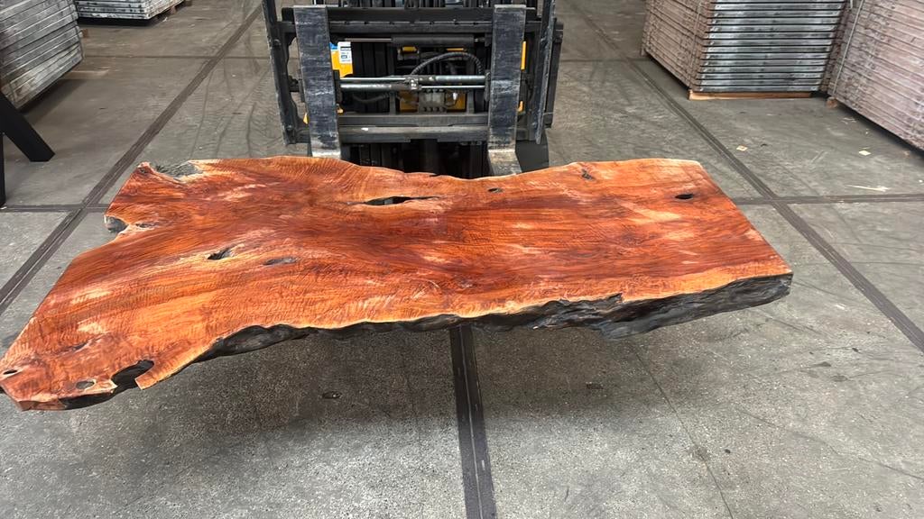 Uniek tafel blad, Lengkeng, versteend hout!, Ophalen, 200 cm of meer, 50 tot 100 cm, Zo goed als nieuw