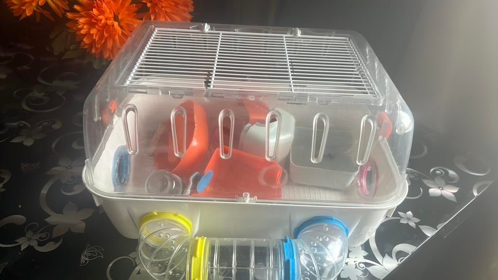 Hamster kooie met bijbehorende Gratis meenemen!, Februari, Geslacht onbekend