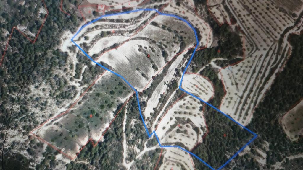 te koop 7.5 hectare grond spanje (1 uurtje van barcelona), Huizen en Kamers, Buitenland, Spanje