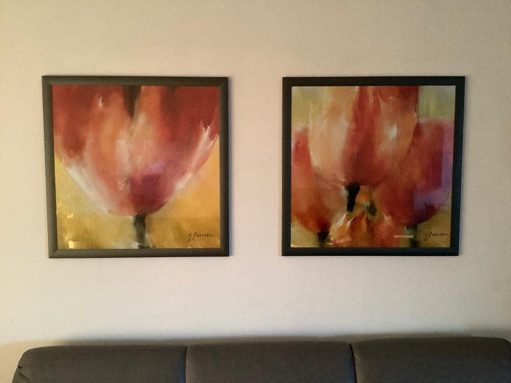 Greetje Feenstra Tulpen, Ophalen