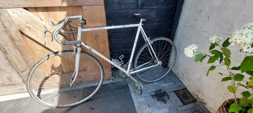 Peugot racefiets, Gebruikt, Aluminium, Meer dan 20 versnellingen, Ophalen