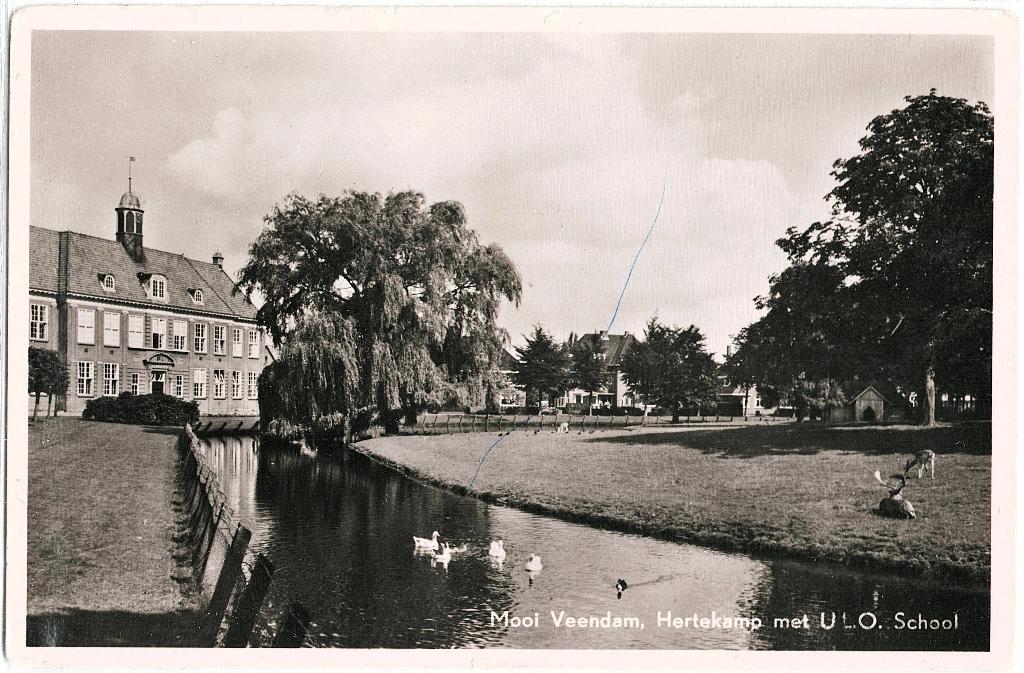 Veendam (gr), hertenkamp met ulo-school, gelopen 1954, Verzenden, 1940 tot 1960, Gelopen, Groningen