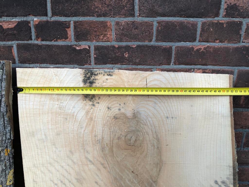 Boomstam Schaaldelen voor epoxy  tafel of project, Gebruikt, 25 tot 50 mm, Ophalen of Verzenden, Plank