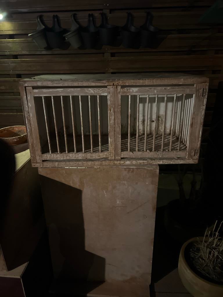 Broedhok postduiven, Dieren en Toebehoren, Vogels | Hokken en Kooien, Ophalen of Verzenden, Hout, Vogelkooi