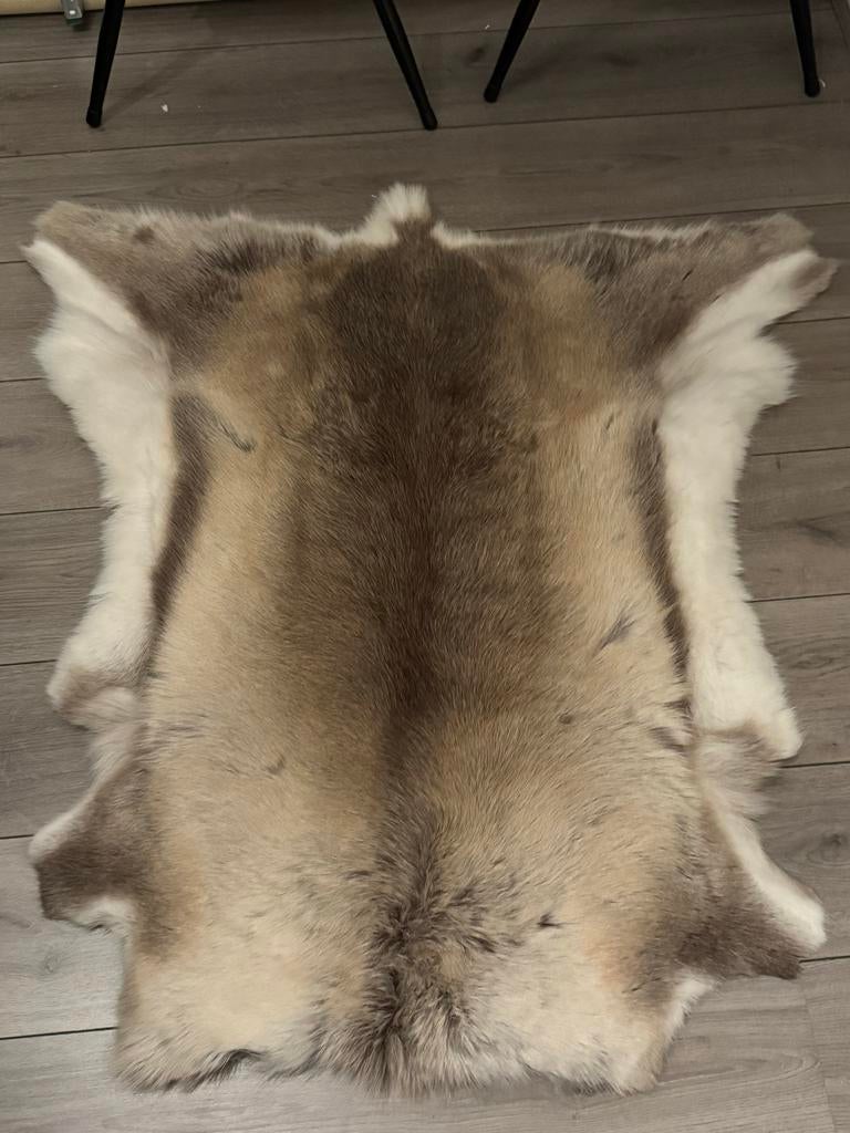 Echt rendier vacht uit Finland - Uniek aandenken, Ophalen, Gebruikt, 100 tot 150 cm, Beige