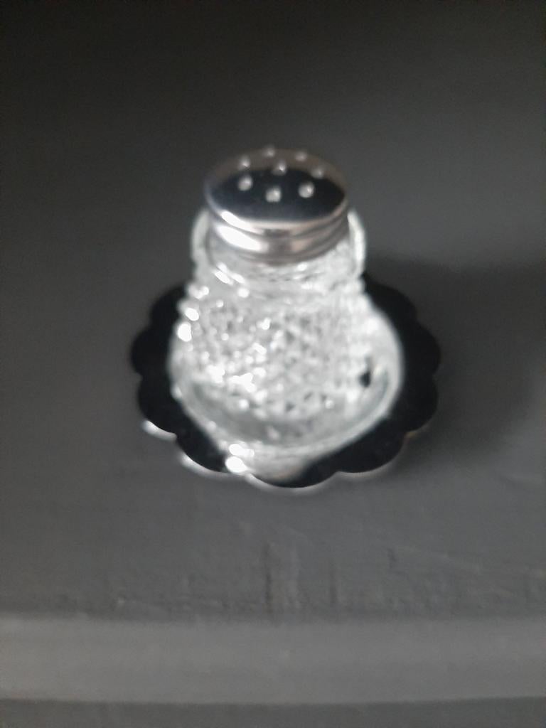 Klein Zoutvaatje met Zilverkleurige Onderzetter, Ophalen of Verzenden