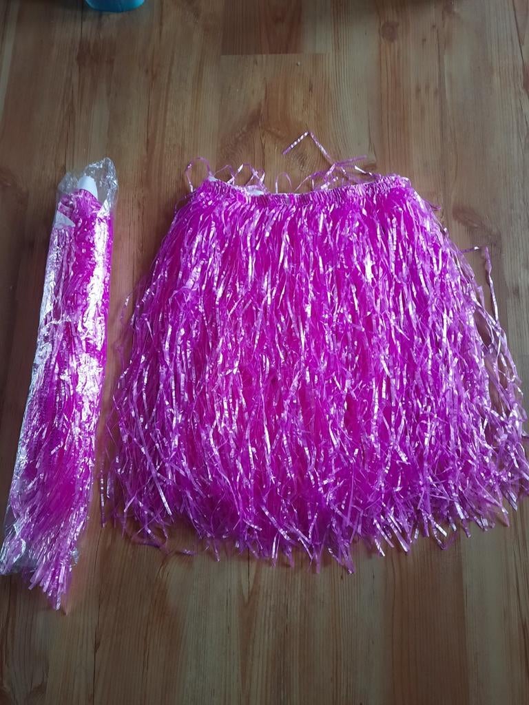 Rokjes verkleden, Ophalen of Verzenden, Zo goed als nieuw, Carnaval