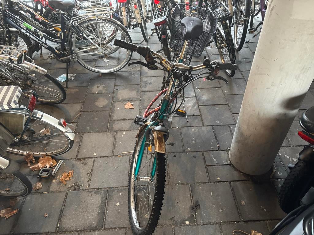 Degelijke stadsfiets met mandje en versnellingen, Gebruikt, Velgrem, Versnellingen, 50 tot 53 cm