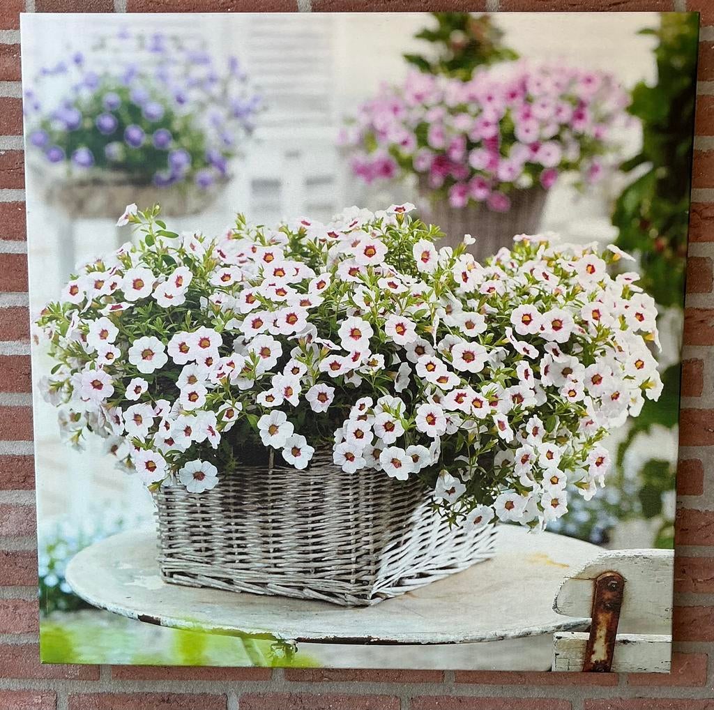 Tuinposter Voorjaar, Ophalen, Zo goed als nieuw