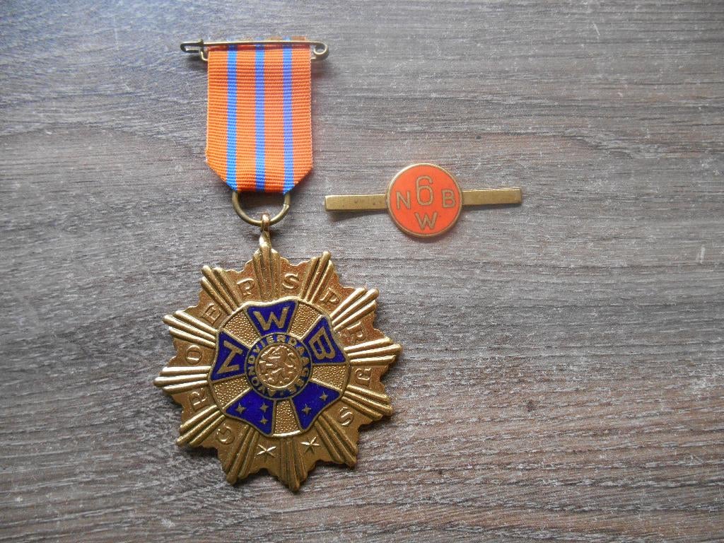 Avondvierdaagse Groepsprijs medaille 5de keer met cijfer 6, Ophalen of Verzenden, Overige materialen, Nederland