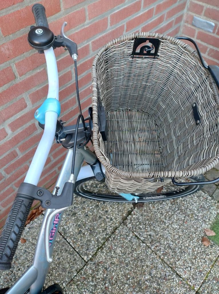 Zeer mooie Alpina girl power 26 inch fiets, Fietsen en Brommers, Fietsen | Meisjes, Ophalen, Zo goed als nieuw, 26 inch of meer