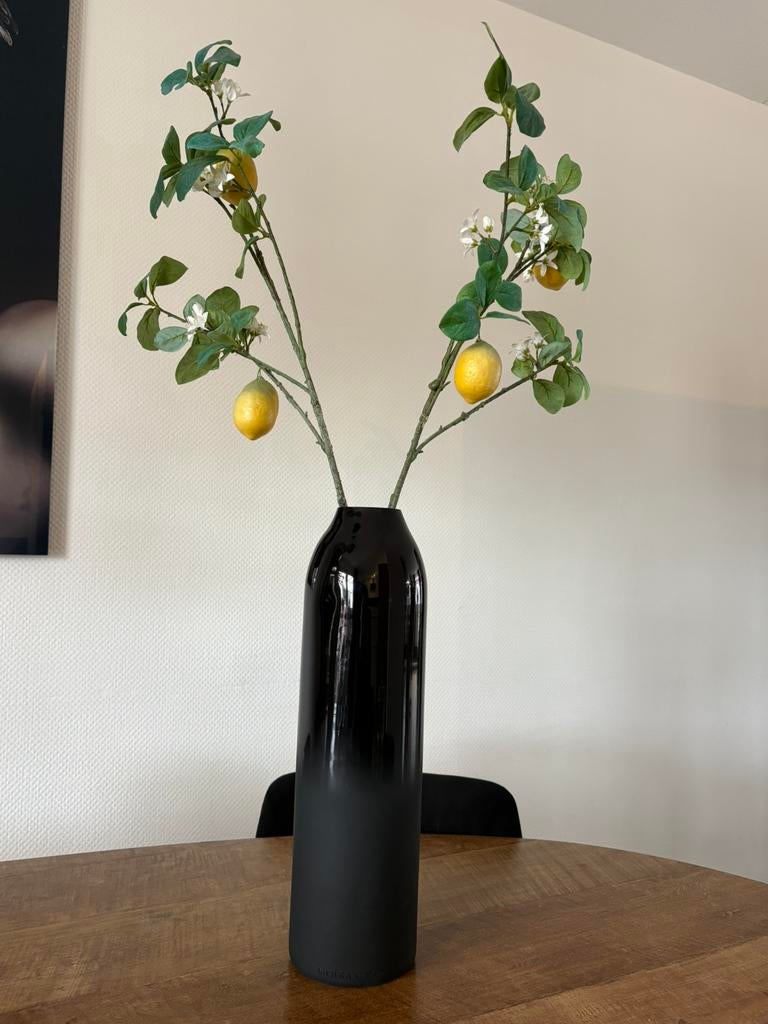 Vaas met takken - Riviera Maison, Huis en Inrichting, Ophalen, Zwart, Minder dan 50 cm, Glas