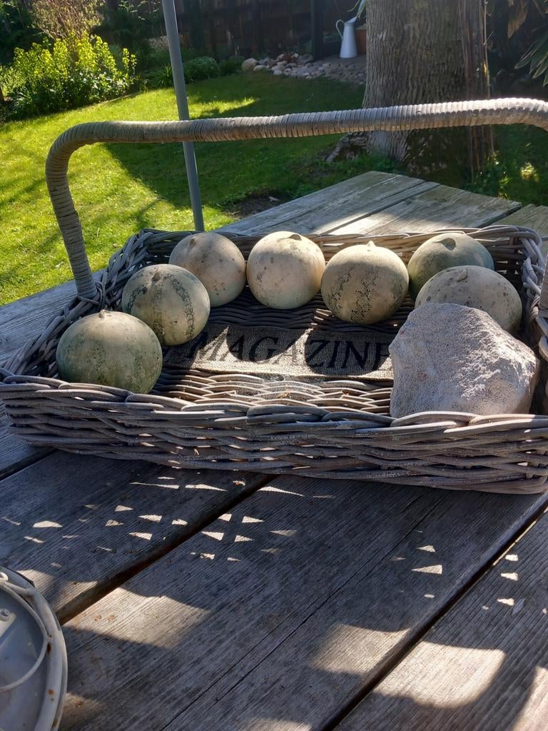 Leuke mand met tekst en stenen kallebassen, Ophalen, Rond, Riet