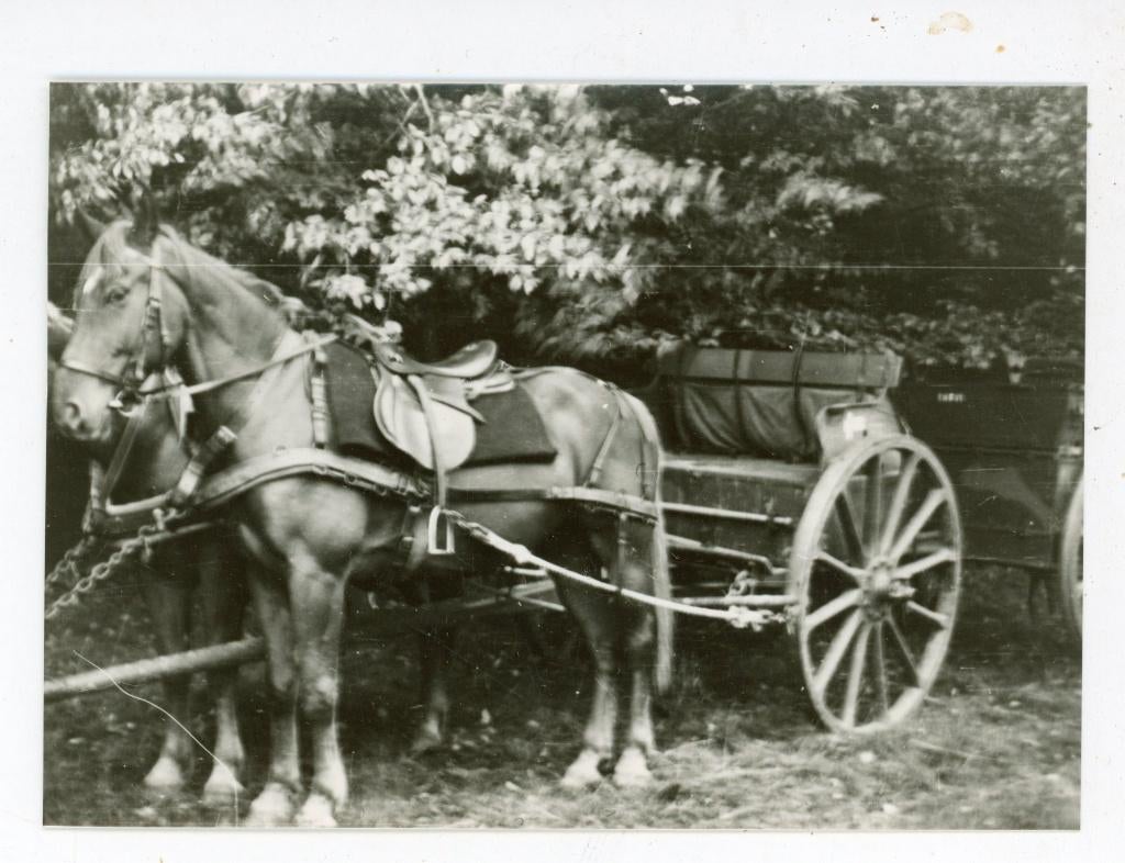 K200; foto 9 x 12 cm, Verzenden, Foto, Zo goed als nieuw, 1940 tot 1960