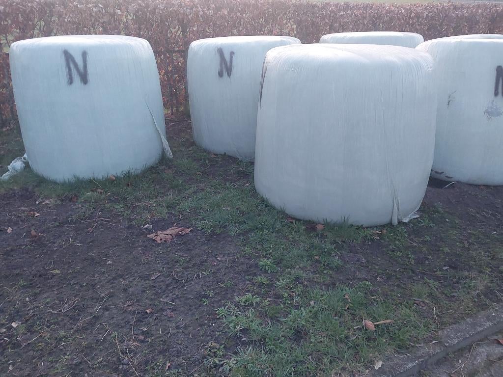 25 Rondebalen najaarsgras., Zakelijke goederen, Agrarisch | Veevoer, Ophalen