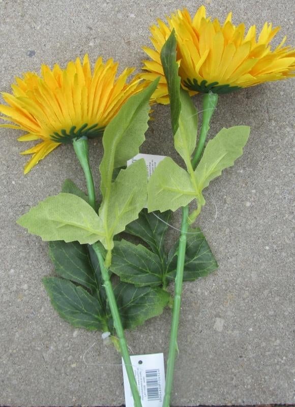 ASTERS - KUNST - 3 KLEUREN, Ophalen of Verzenden, Nieuw