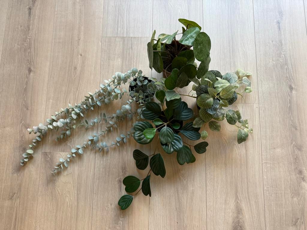 Set van vier verschillende kunstplanten klimop, Huis en Inrichting, Woonaccessoires | Kunstplanten en Kunstbloemen, Binnen, Groen