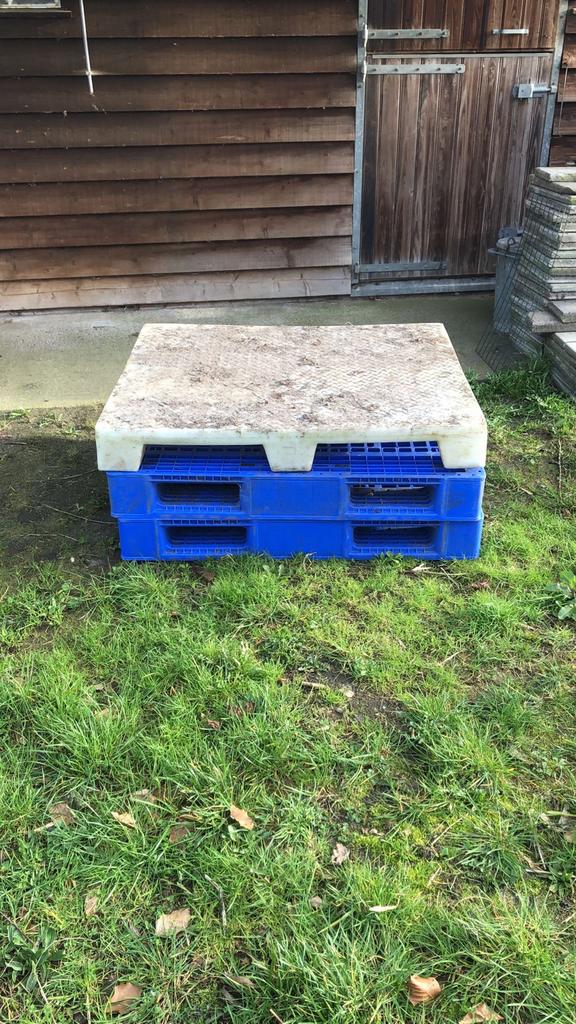 2 Kunststof Pallets - 120x100 cm, Ophalen, 100 cm of meer, 60 cm of meer, Overige typen