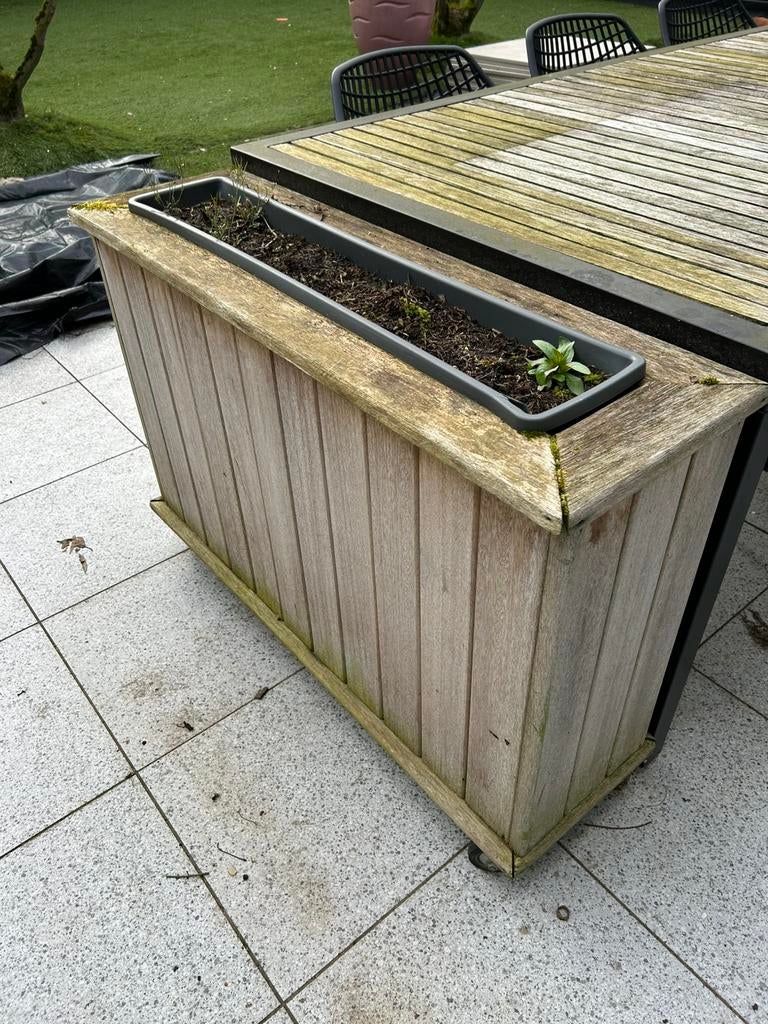 Bloembakken teak, Ophalen of Verzenden, Gebruikt, Hout, Overige typen