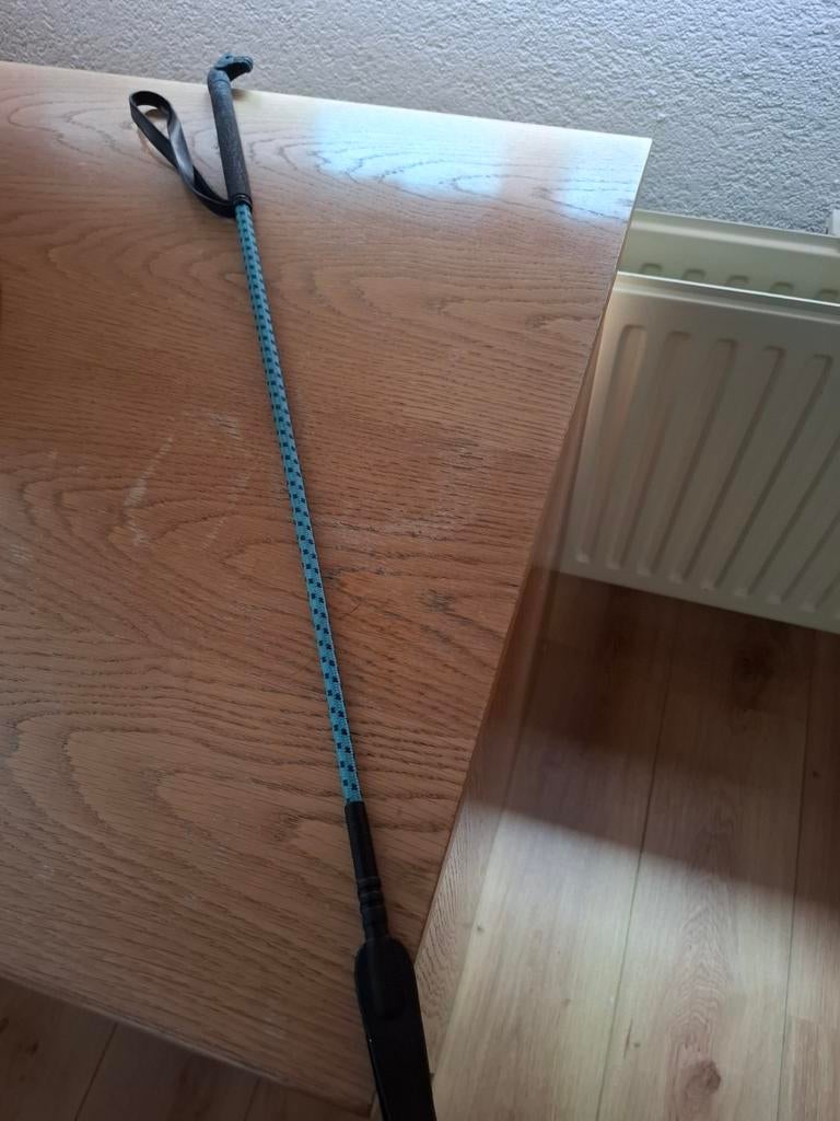 Paardenzweep, Ophalen of Verzenden, Zo goed als nieuw, Dressuur