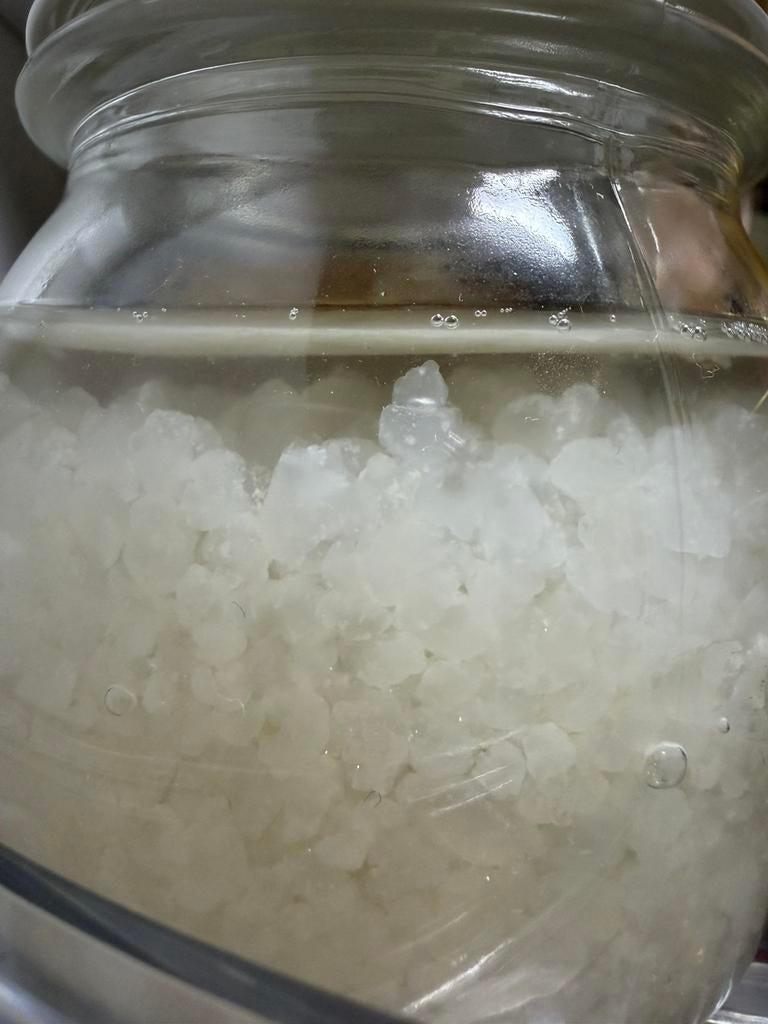 Waterkefir korrels om zelf waterkefir te maken (50 gr), Diversen, Levensmiddelen, Ophalen of Verzenden
