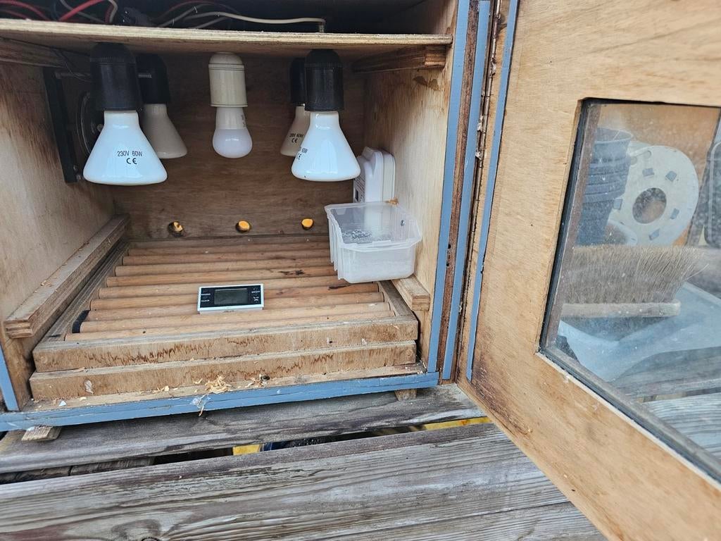 Broedmachine met 2 rijdende opfokbakken met warmhoutplaat, Ophalen, Broedmachine