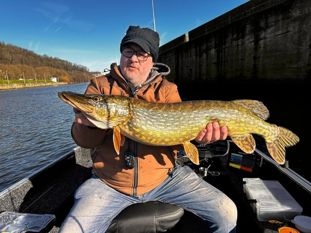 Visgids Bootvissenlimburg NU OOK NAAR DE WAAL, Ophalen, Nieuw, Overige typen