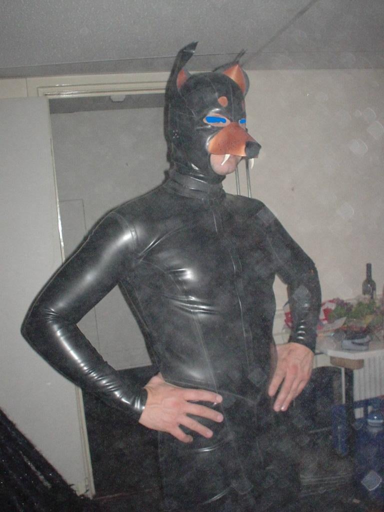 Rubber latex doberman hond masker, House of Harlot, Maat 48/50 (M), Ophalen of Verzenden, Zo goed als nieuw, Kleding