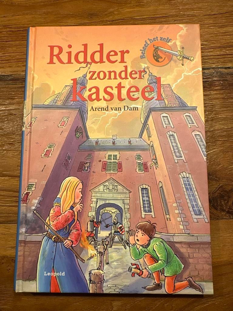 Ridder zonder kasteel - Arend van Dam, Verzenden, Gelezen, Fictie algemeen