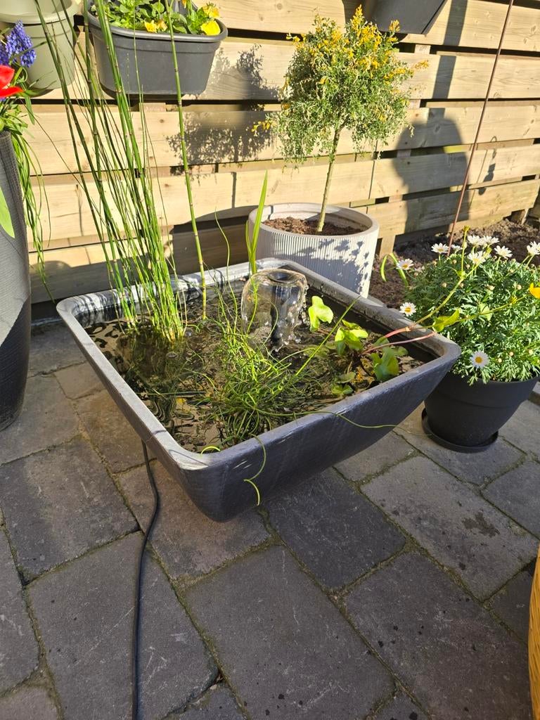 Terrasvijver / Minivijver met pomp, Ophalen, Gebruikt