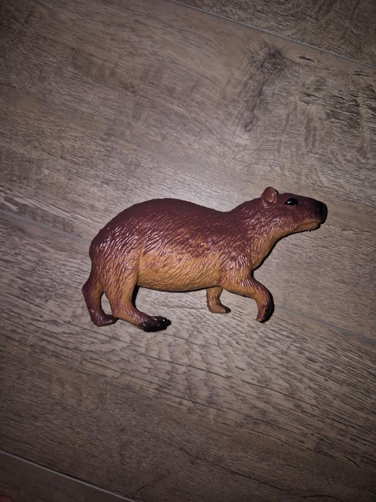Capibara plastic, Ophalen, Nieuw