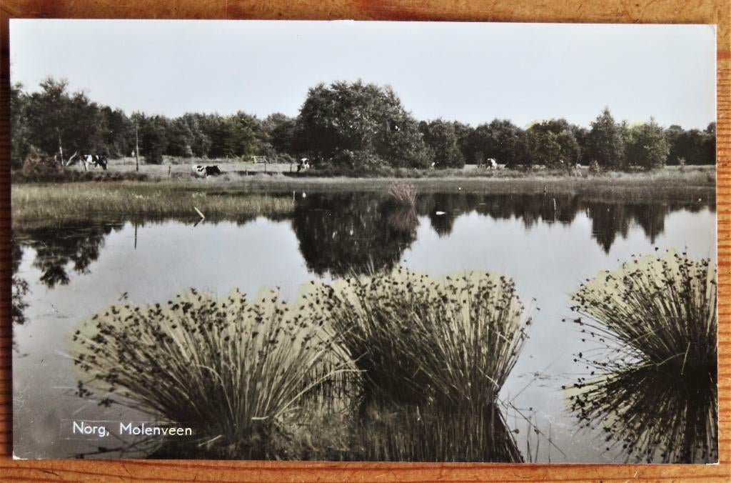 Norg Molenveen, Ophalen of Verzenden, Voor 1920, Noord-Brabant