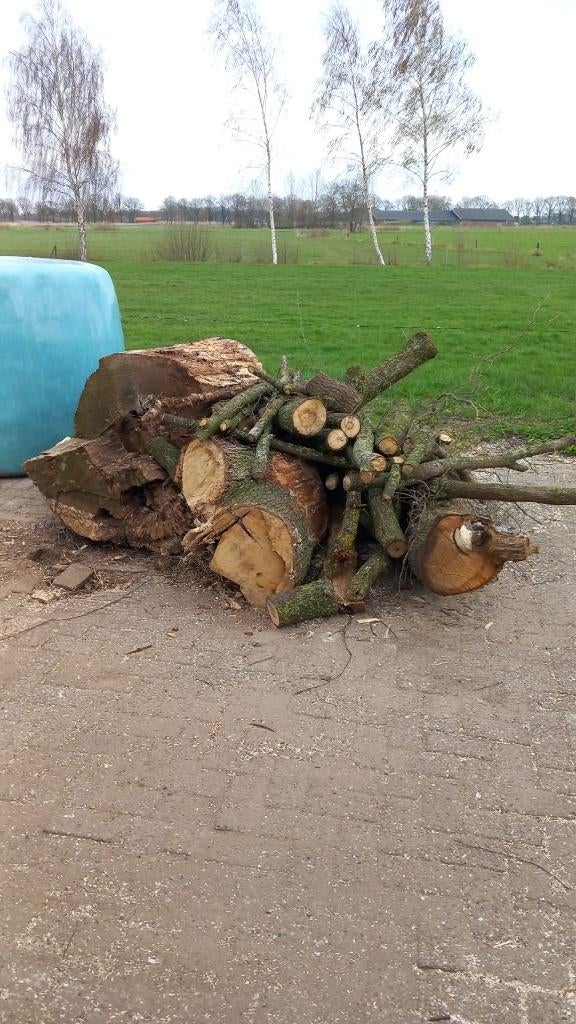 eiken hout, Minder dan 3 m³, Ophalen, Eikenhout, Blokken