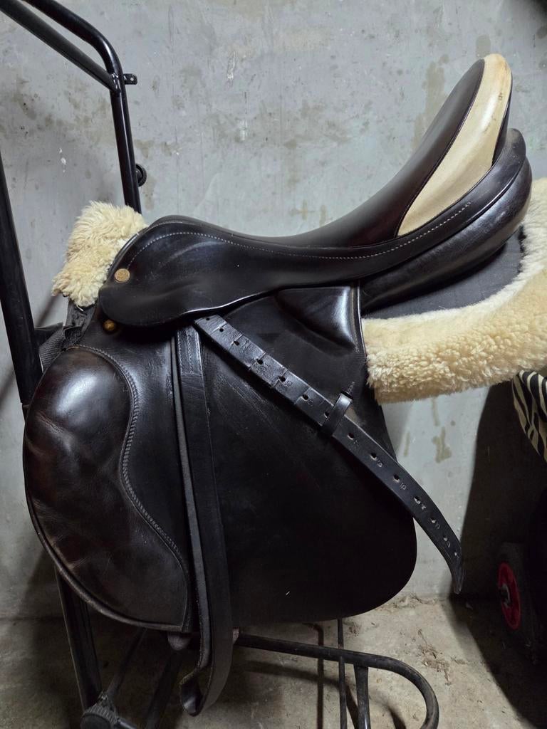 Veelzijdigheidszadel Prestige, Ophalen of Verzenden, Gebruikt, Overige soorten