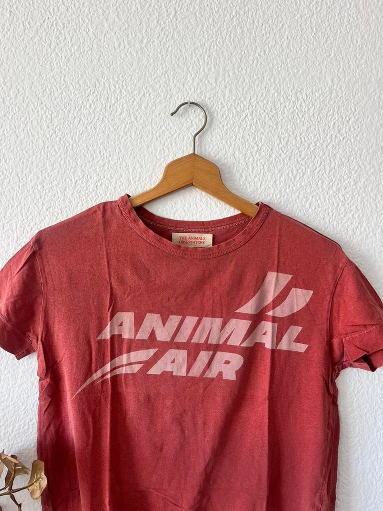 The Animal Observatory, Ophalen of Verzenden, Zo goed als nieuw, Jongen of Meisje