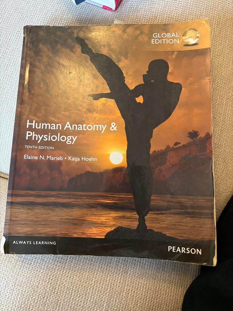 Human Anatomy & Physiology - Tandheelkunde/Geneeskunde, Boeken, Studieboeken en Cursussen, Ophalen of Verzenden, Alpha, Gelezen