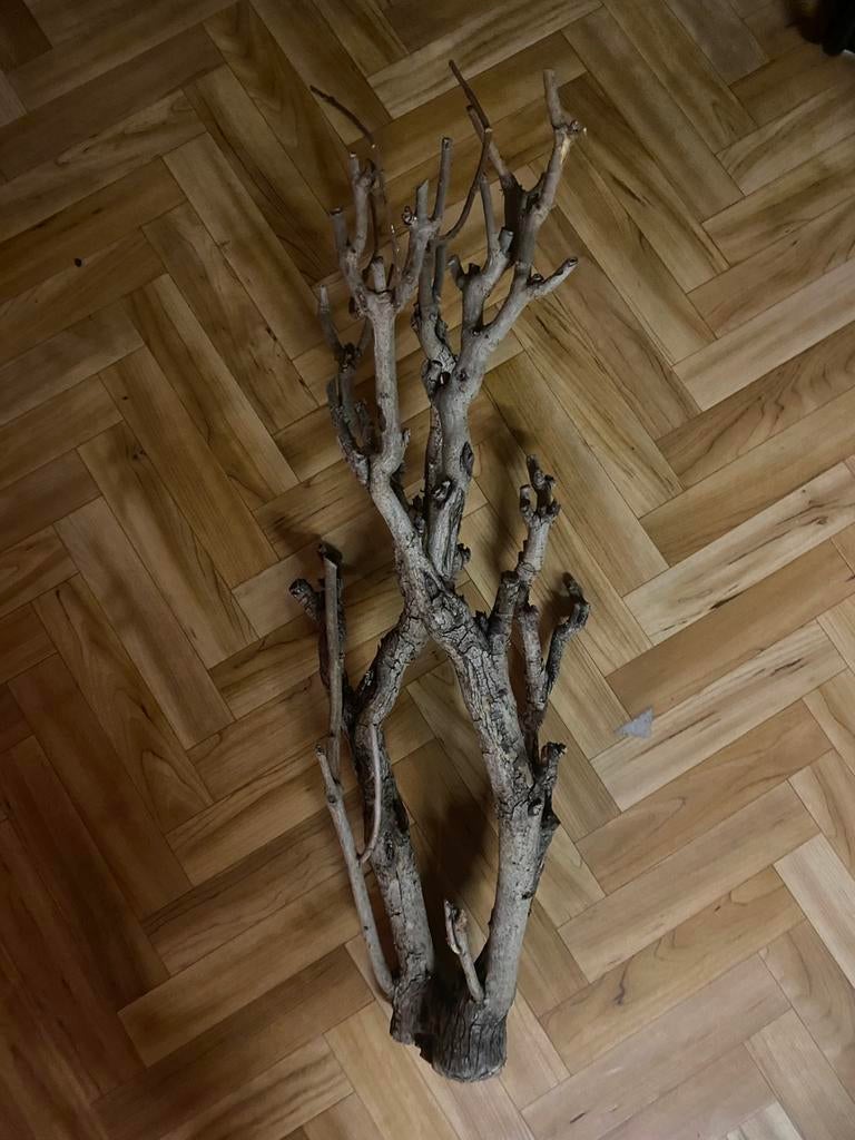 Grote tak, Ophalen, Zo goed als nieuw