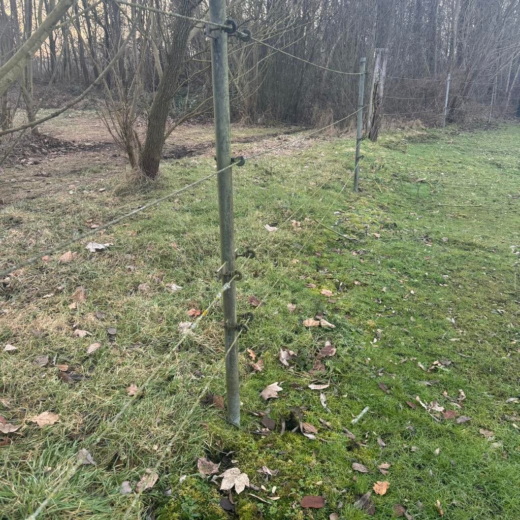 Weiland afrastering met draad.  [ Gegalvaniseerde palen ], Ophalen, Bloeit niet, Volle zon, Overige soorten