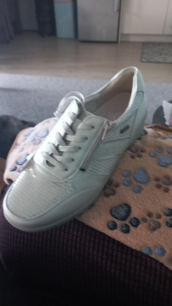 Schoenen Maat 42, Kleding | Heren, Schoenen, Ophalen of Verzenden, Nieuw