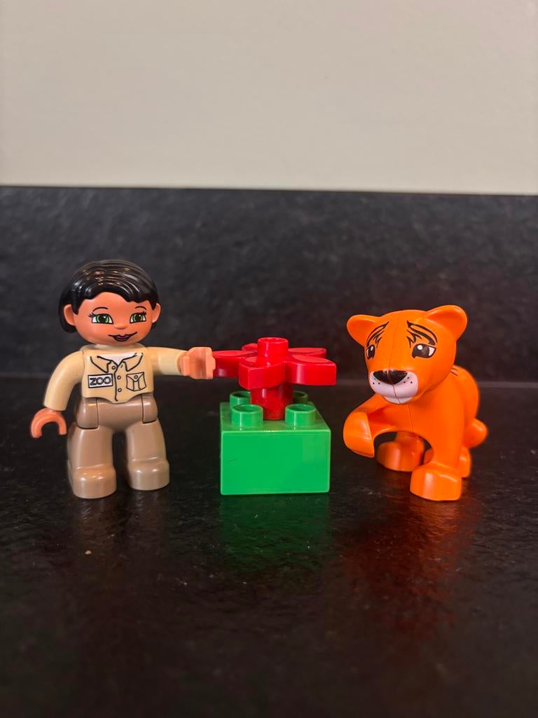 Duplo Dierenverzorger met Tijger, Ophalen of Verzenden, Gebruikt, Losse stenen, Duplo