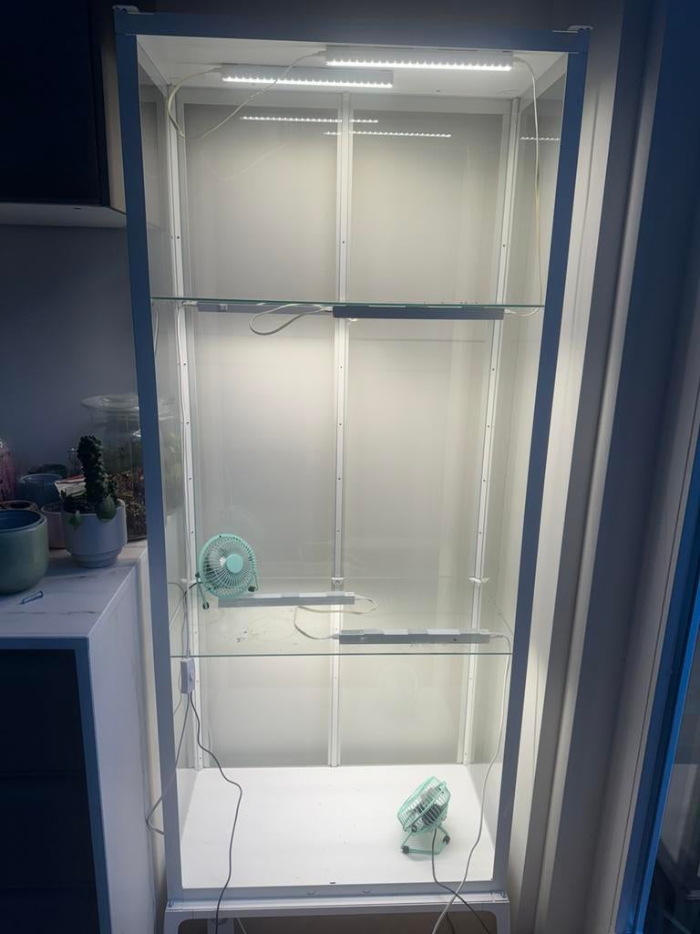 FULL GREENHOUSE SET-UP (niet de kast zelf), Ophalen of Verzenden, Halfschaduw, Minder dan 100 cm