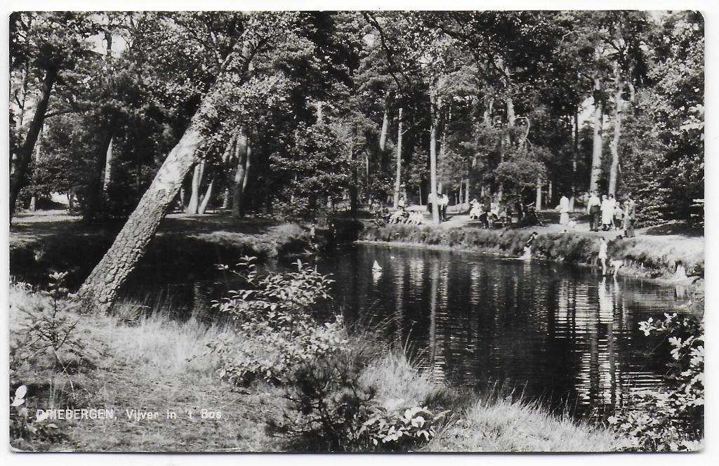 Driebergen vijver in het bos Gelopen Ansichtkaart, Ophalen of Verzenden, 1960 tot 1980, Gelopen, Utrecht
