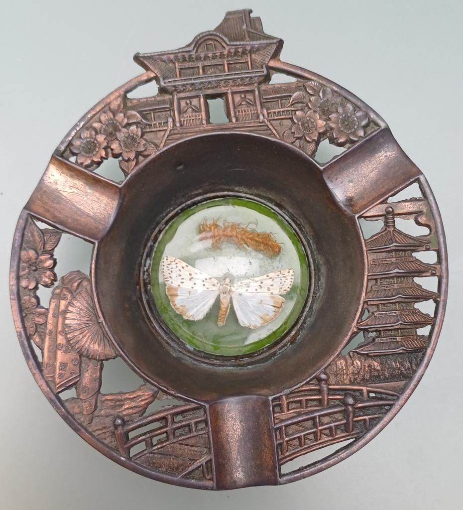 Intrigerende Japanse asbak met echte vlinder/mot, Ophalen of Verzenden