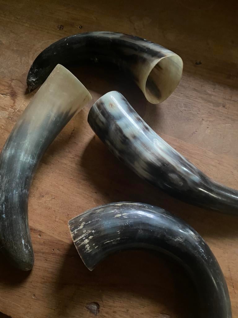 Vier x koehoorn brocante styling, Ophalen